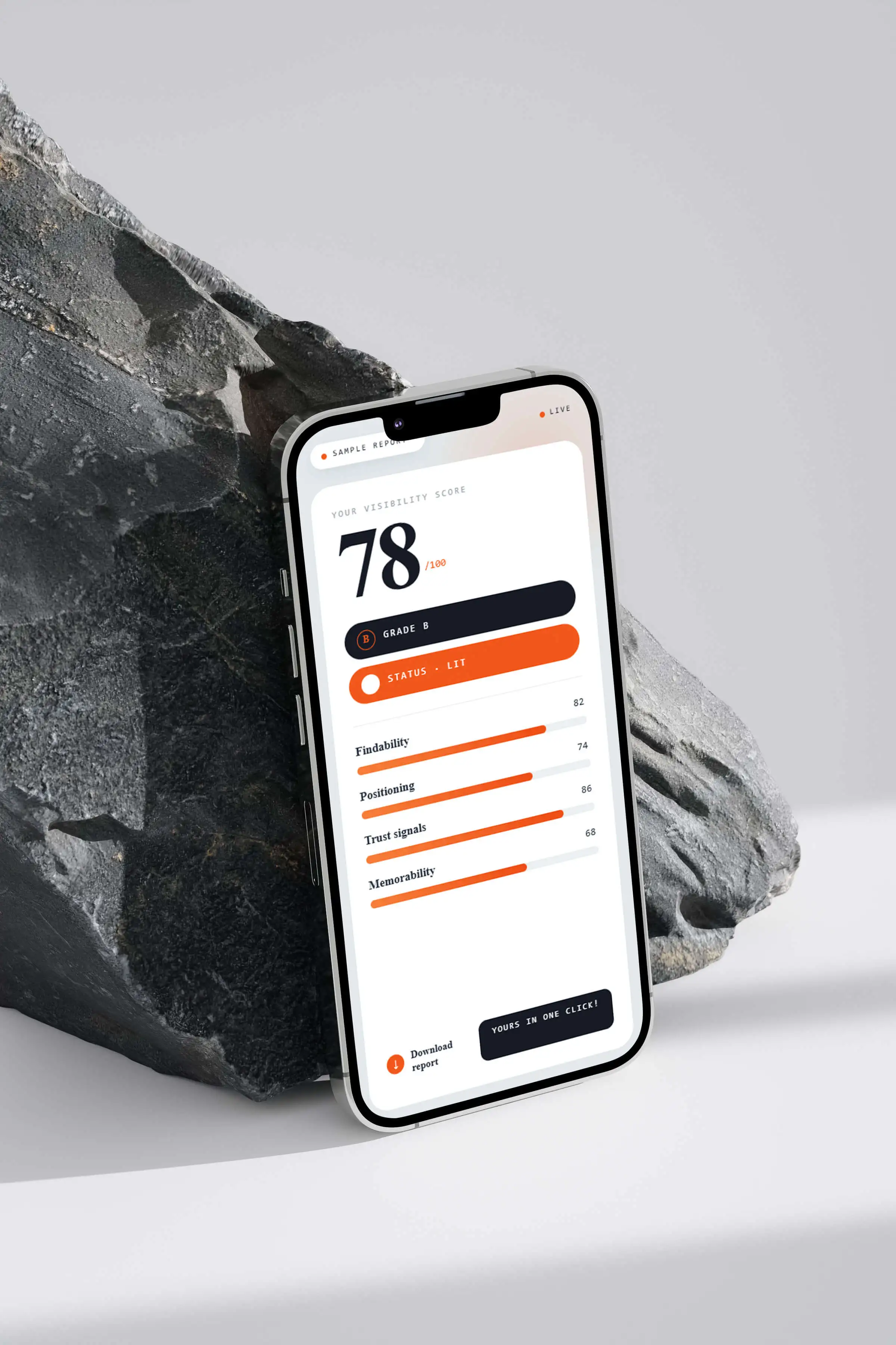 Phone showing a sample Visibility Score report